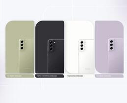3883663-Box-4-Color-Palette