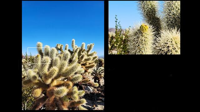 Galaxy S23 Ultra _1