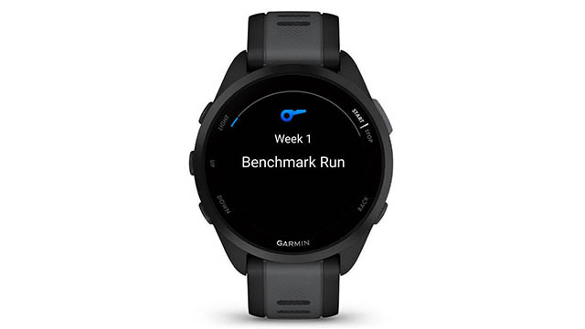 garmin165(3)